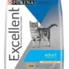 Excellent Gato Adulto